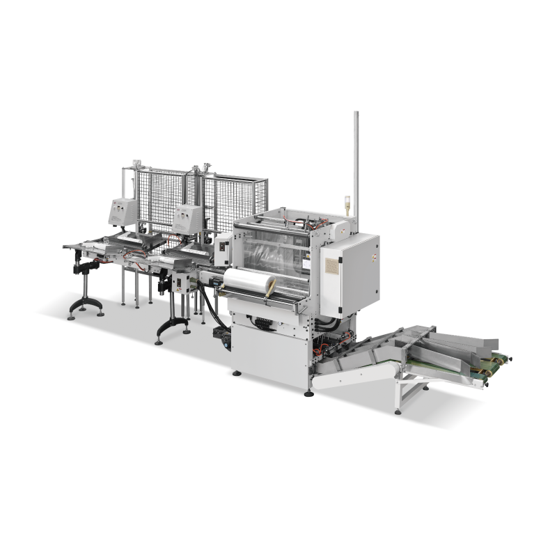 CP-650 Naipapakete ang Makina