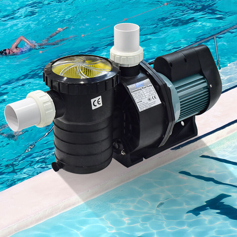 Cost-Effective Wellness Investment with Long-Term Health Benefits