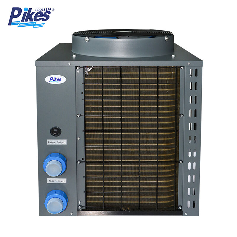 Professional Support and Comprehensive Warranty Coverage