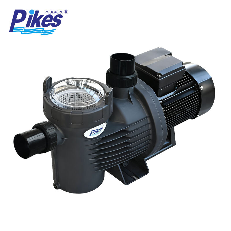 WPB Series Heavy Duty High Flow Energy Efficient Pump for Commercial Swimming Pool