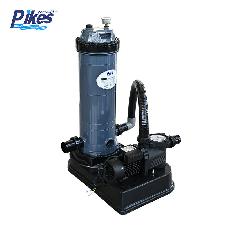 Cartridge Filter Pump Combo For Swimming Pools