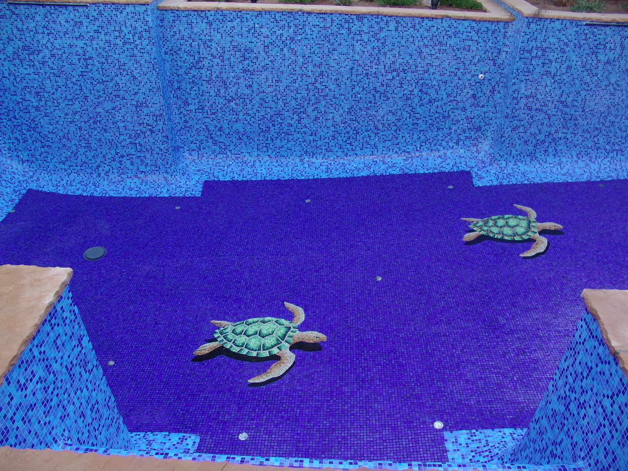 Benefits of Mosaic Turtle Designs
