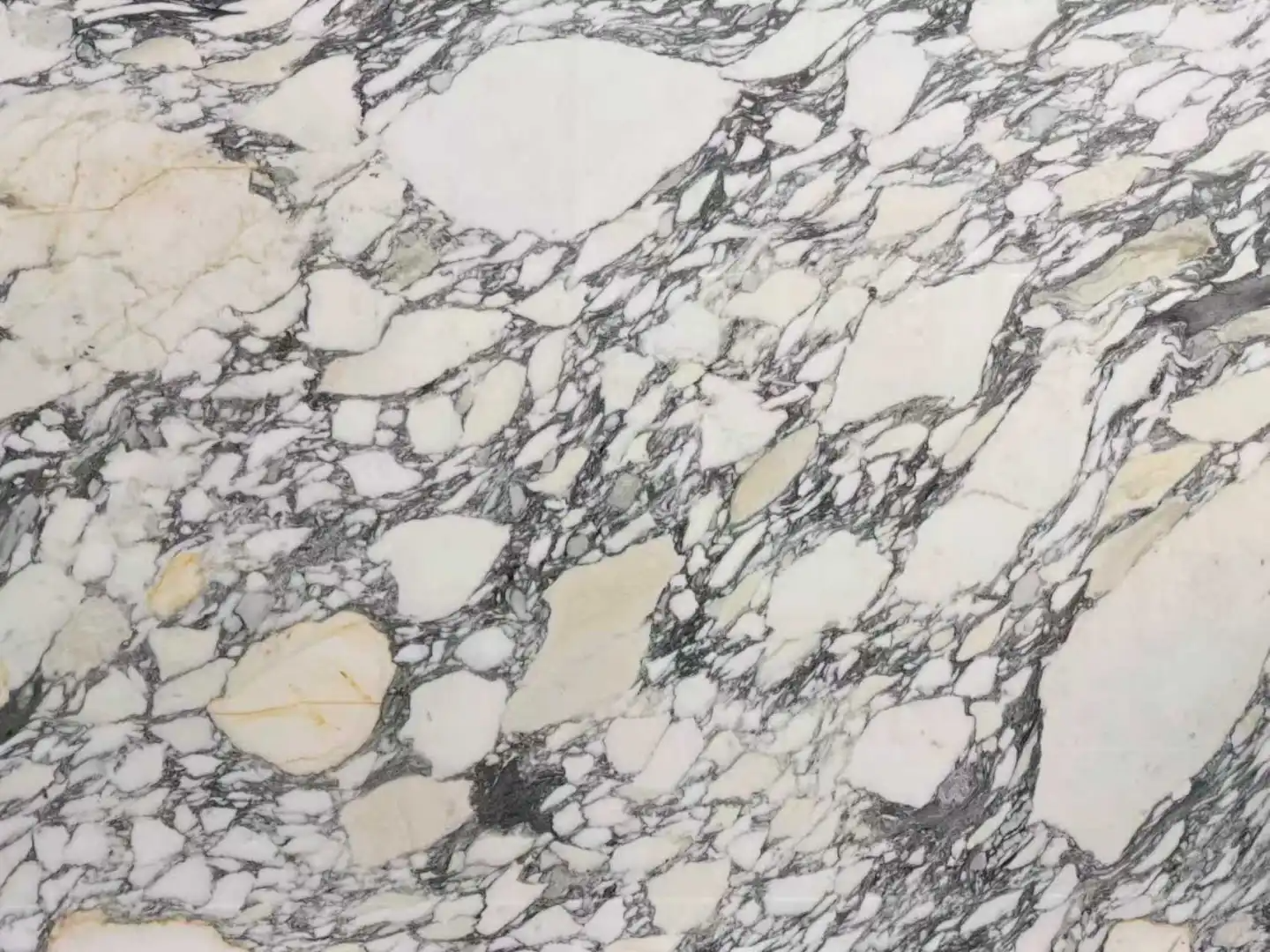 大花白 大板.png