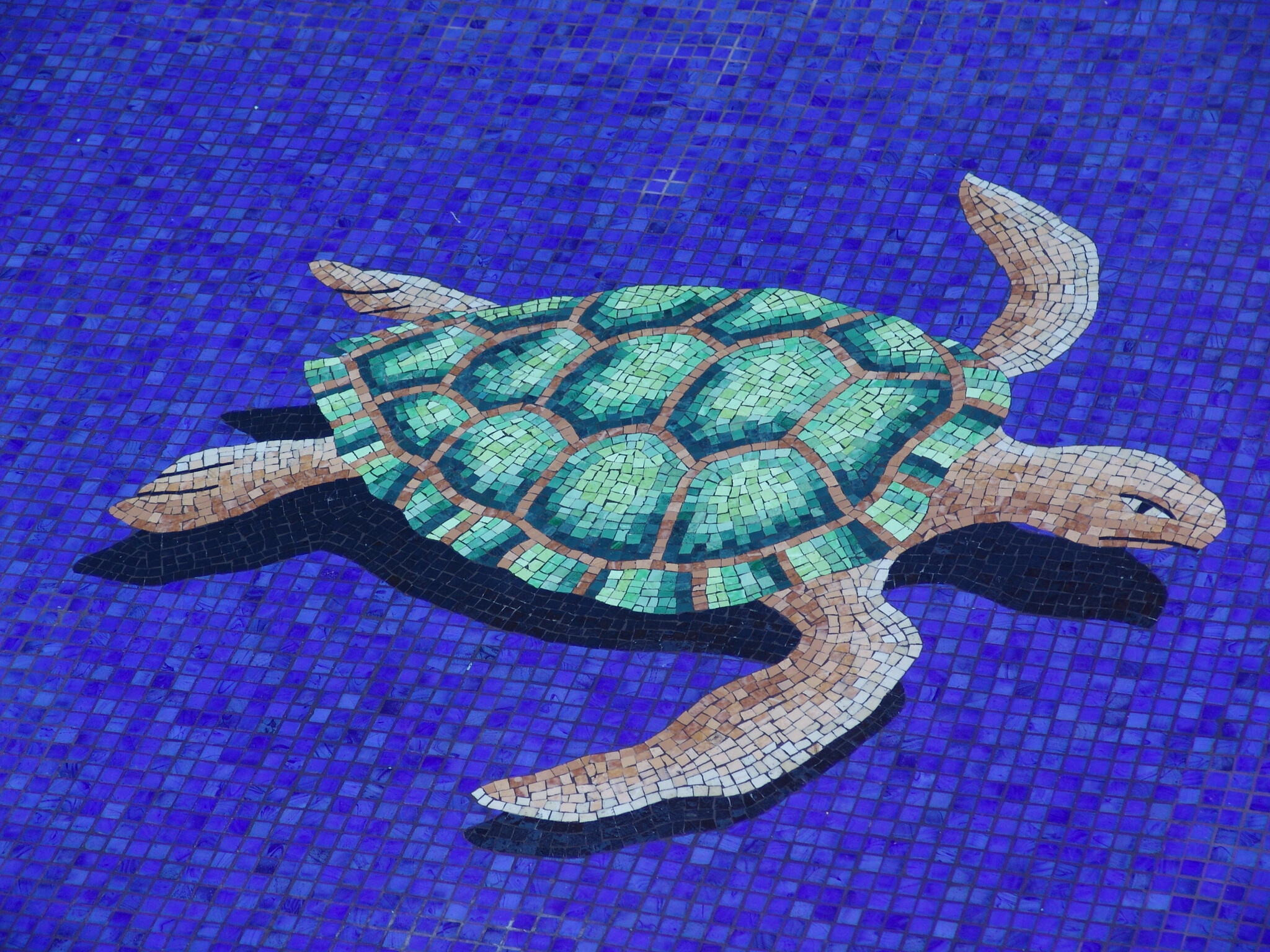 Transform Your Pool With Stunning Mosaic Turtle Design