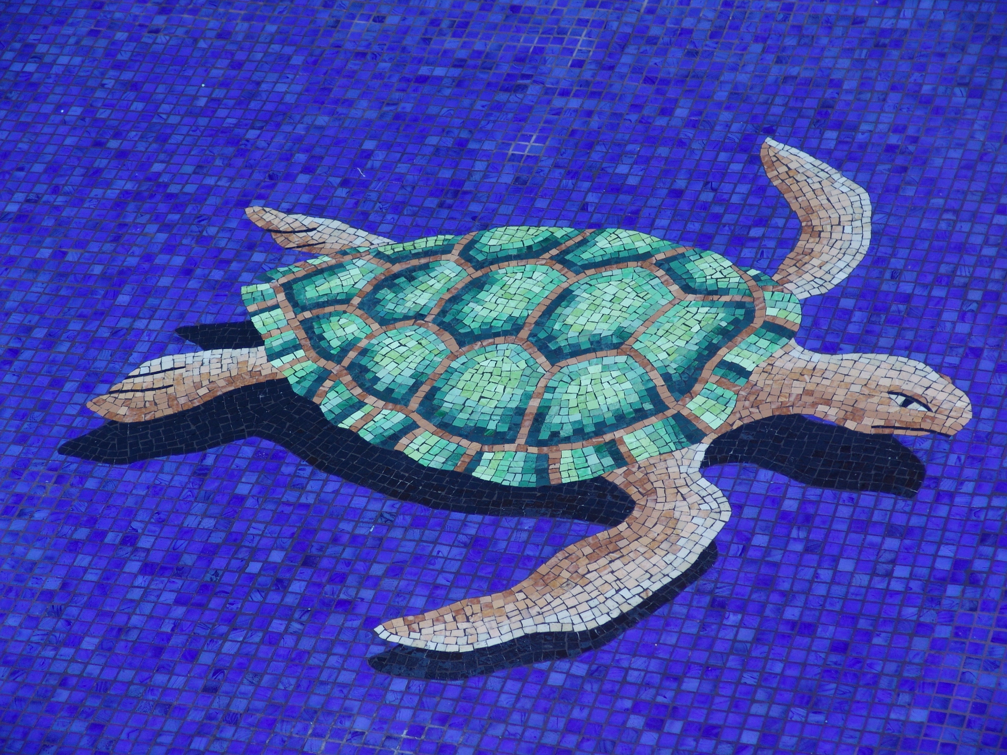 Benefits of Mosaic Turtle Designs