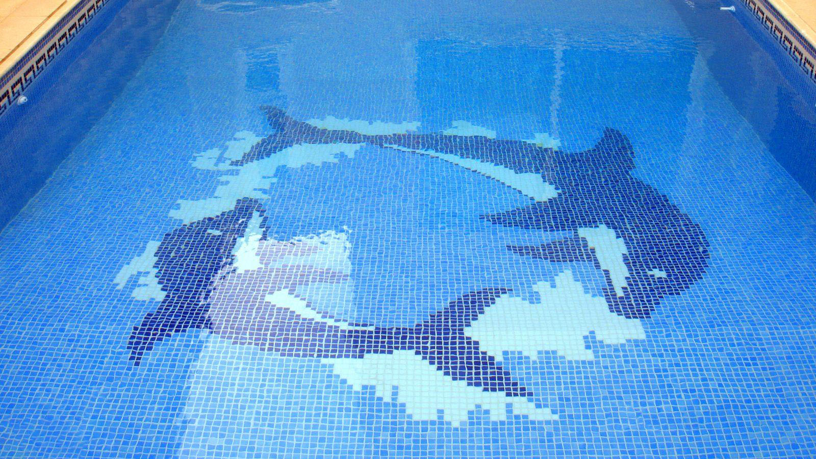 Enhance Your Pool Design with Custom Pool Mosaics