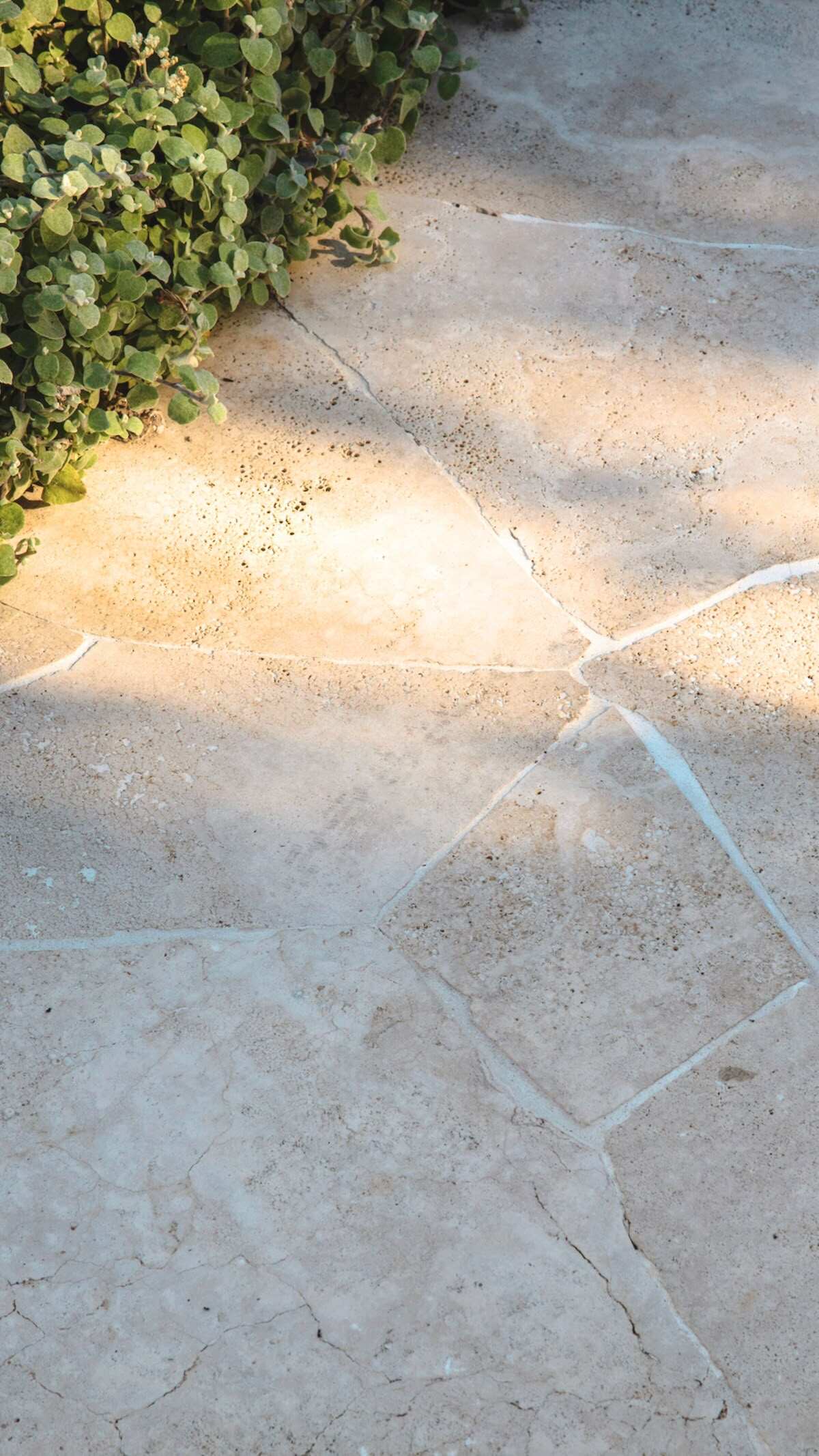 crazy paving (7).jpg