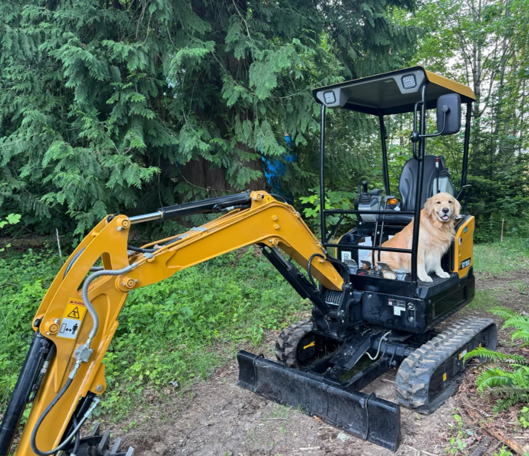 Washington State Forest Owner (USA) : HS15 Mini Excavator in the Dense Forests of the Pacific Northwest