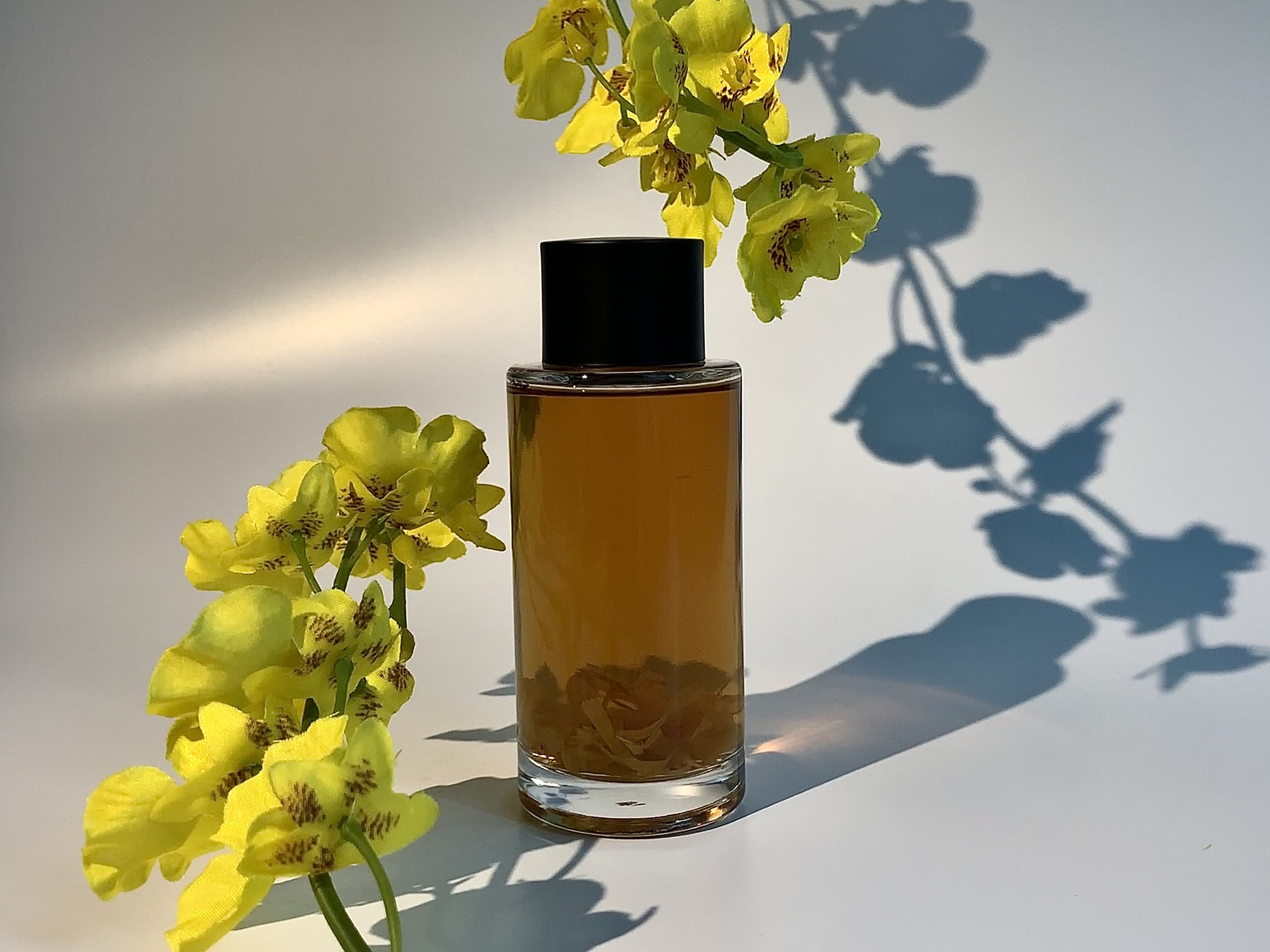 How to Choose the Best Natural Ingredients for Your Skin Type