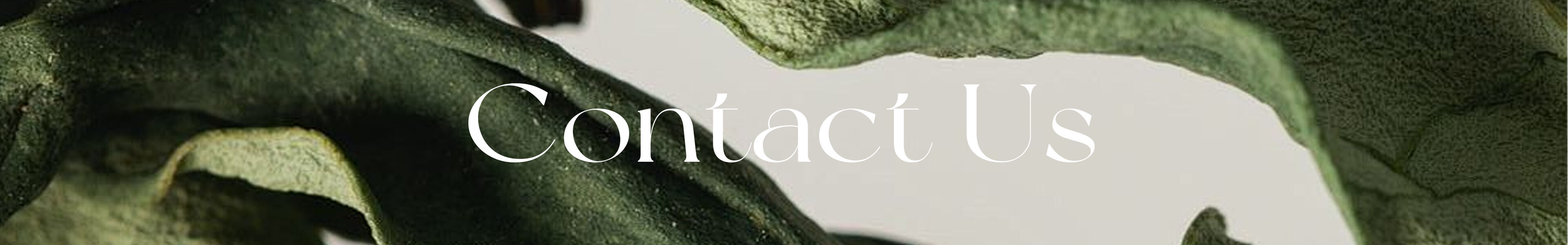 contact us-0