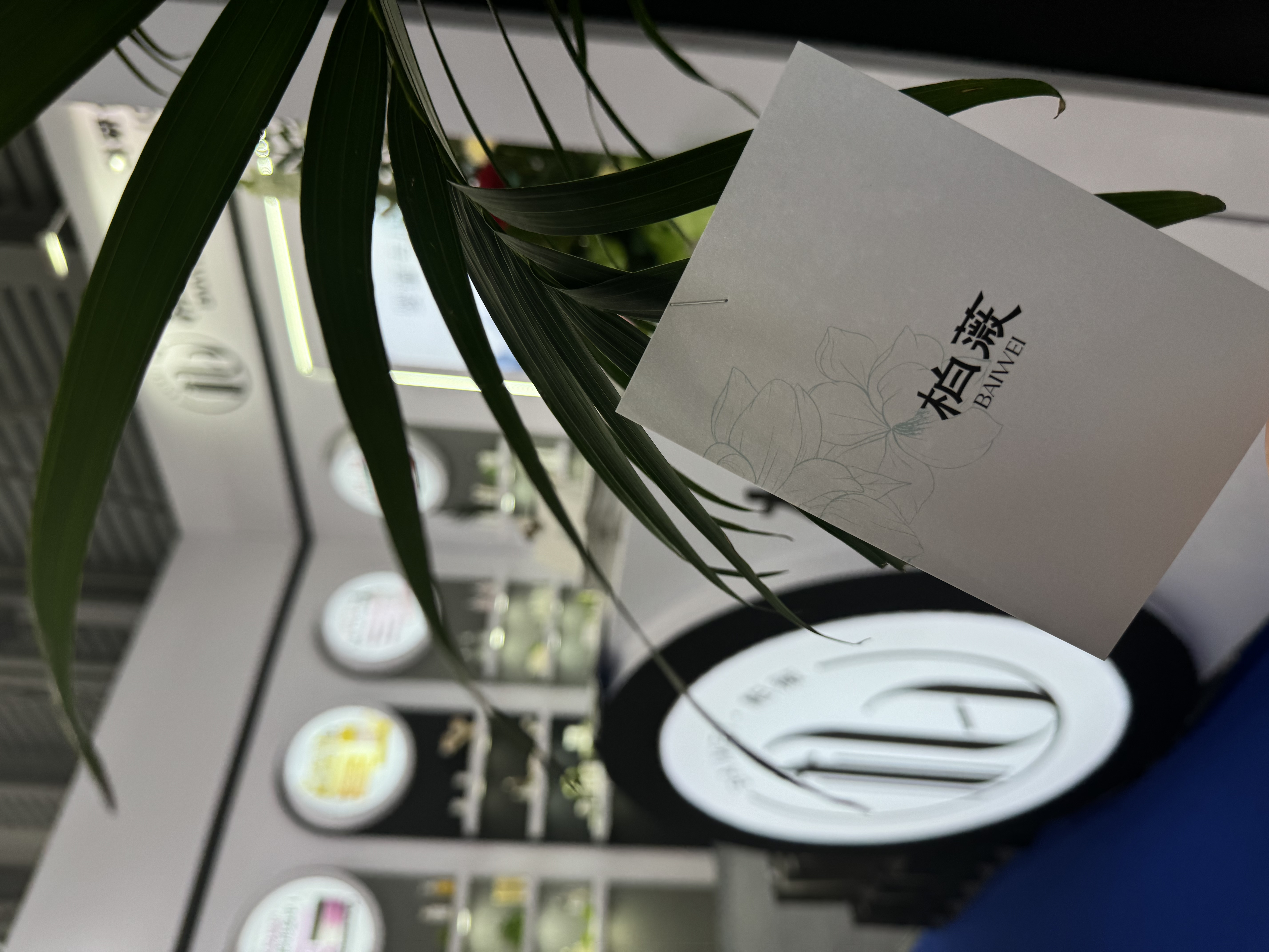 How to Customize Your Skin Care Line with OEM Services