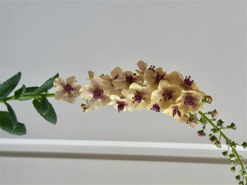 2(9899f87297).jpg