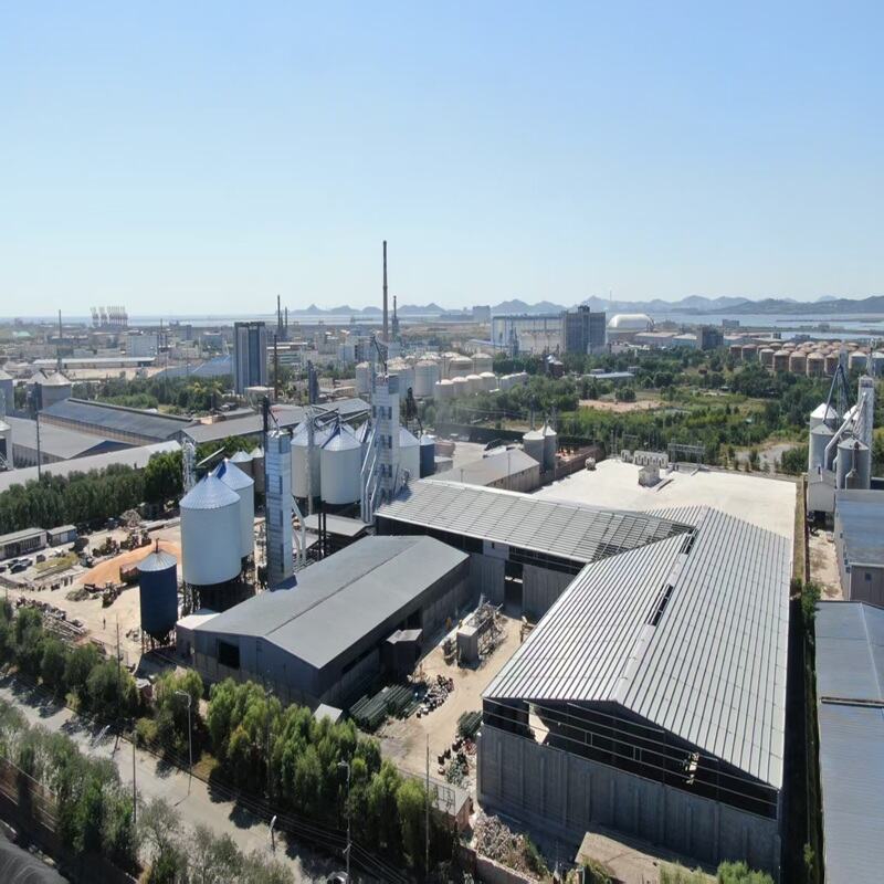 Optimizați amplasarea structurilor din oțel pentru clădirile de birouri comerciale.