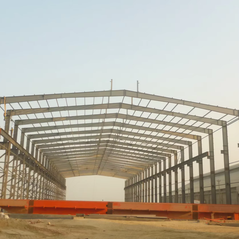 Agricultural Steel Structure10.jpg