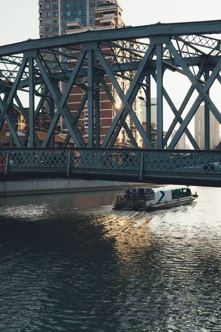 Premium Steel Bridges for Diverse Applications
