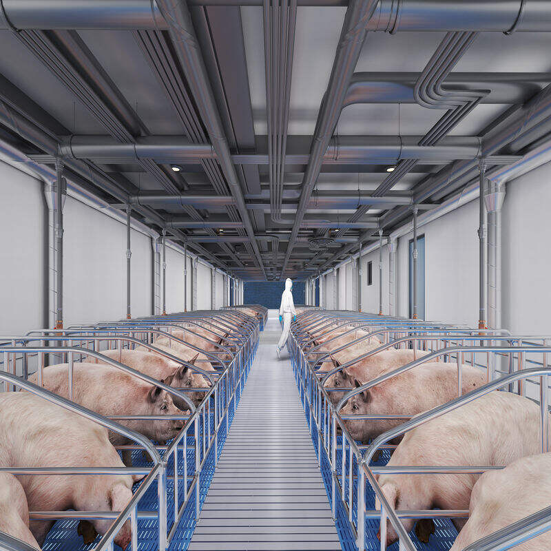 Cum se proiectează o grajd pentru animale bine ventilat?
