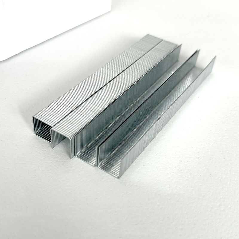 Wejoy 8014 Staple 14mm Leg Length Stainless Steel Code Nail Upholstery Staples Fine Wire Crown Staple Pneumatic Gun Nail Furniture Sofa U Shaped Nail Hardware Fastener