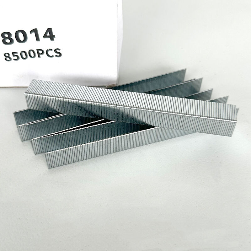 Wejoy 8014 Staple 14mm Leg Length Stainless Steel Code Nail Upholstery Staples Fine Wire Crown Staple Pneumatic Gun Nail Furniture Sofa U Shaped Nail Hardware Fastener