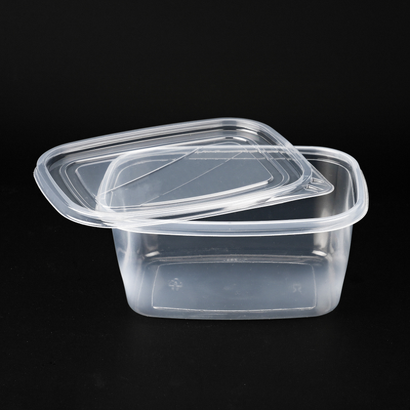 BPA Free Plastic Food Containers for Takeaway & Food Storage
