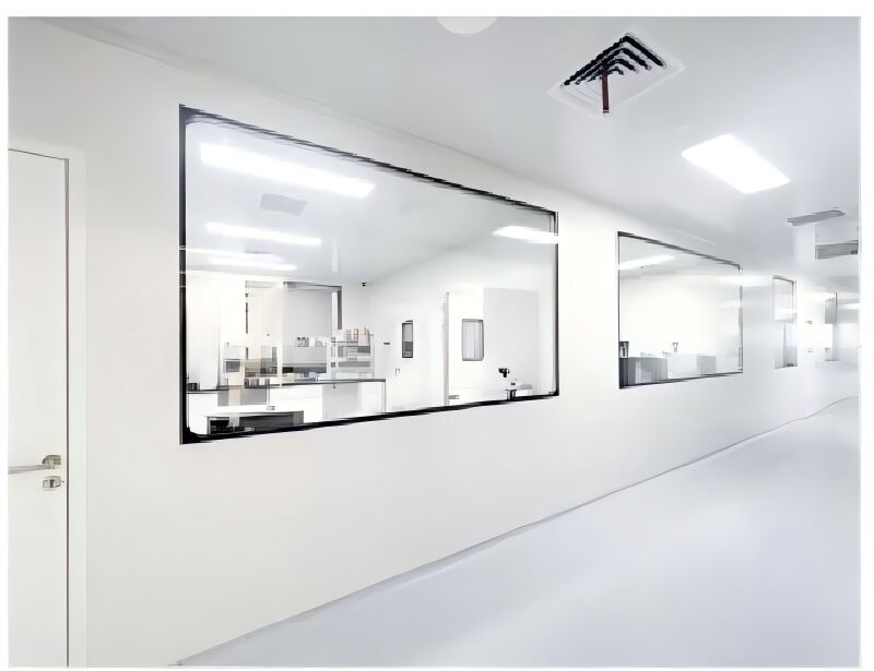 High-performance Cleanroom Windows.jpg