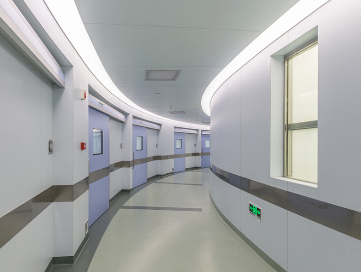 Integrated Modular Special-shaped Cleanroom Panel Application