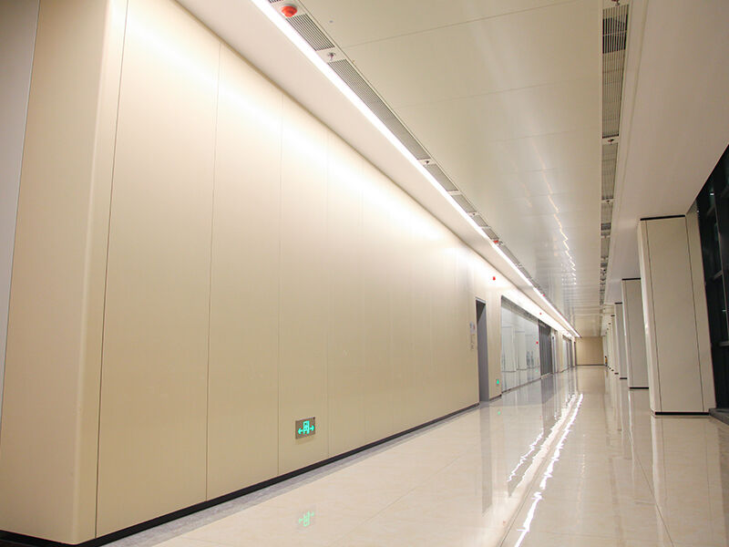 Interior walls of public buildings.jpg