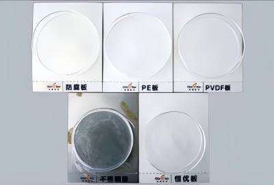 Constant-Excellence Panel.jpg