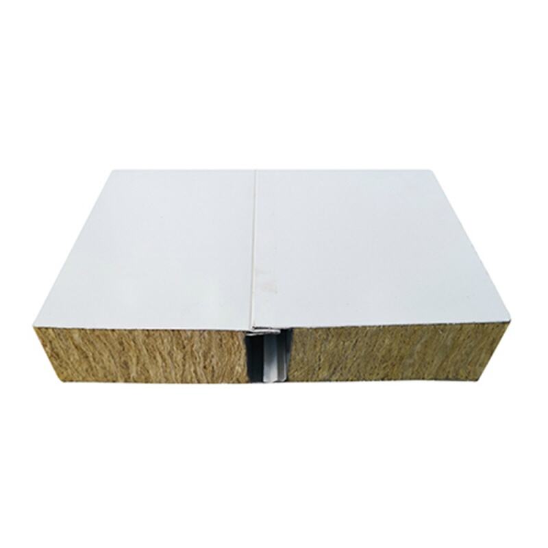 Machine-Made Clean Room Panels | Modular Wall & Ceiling Solutions