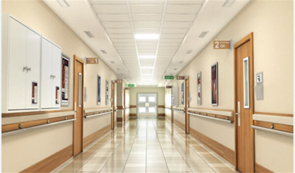 Rock Wool Cleanroom Panel Application