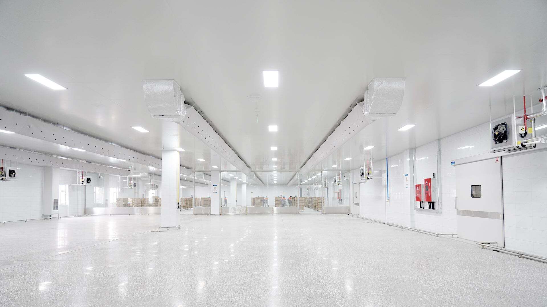 Cleanroom Enclosure System for Shandong Boda Food (1).jpg
