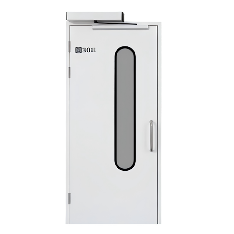 Hidden Frame/Flush Cleanroom Door