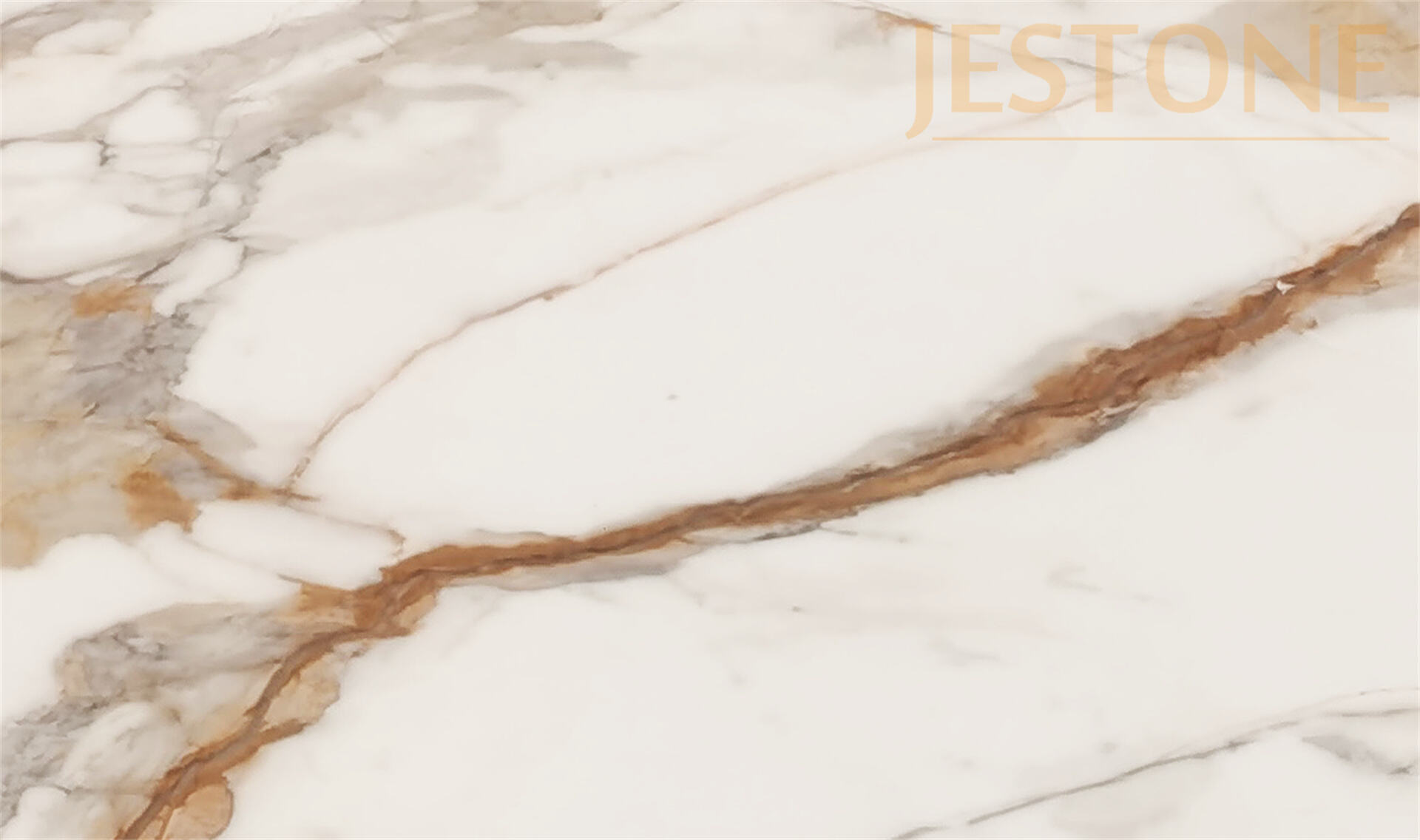 detail(6fb614dfb1).jpg