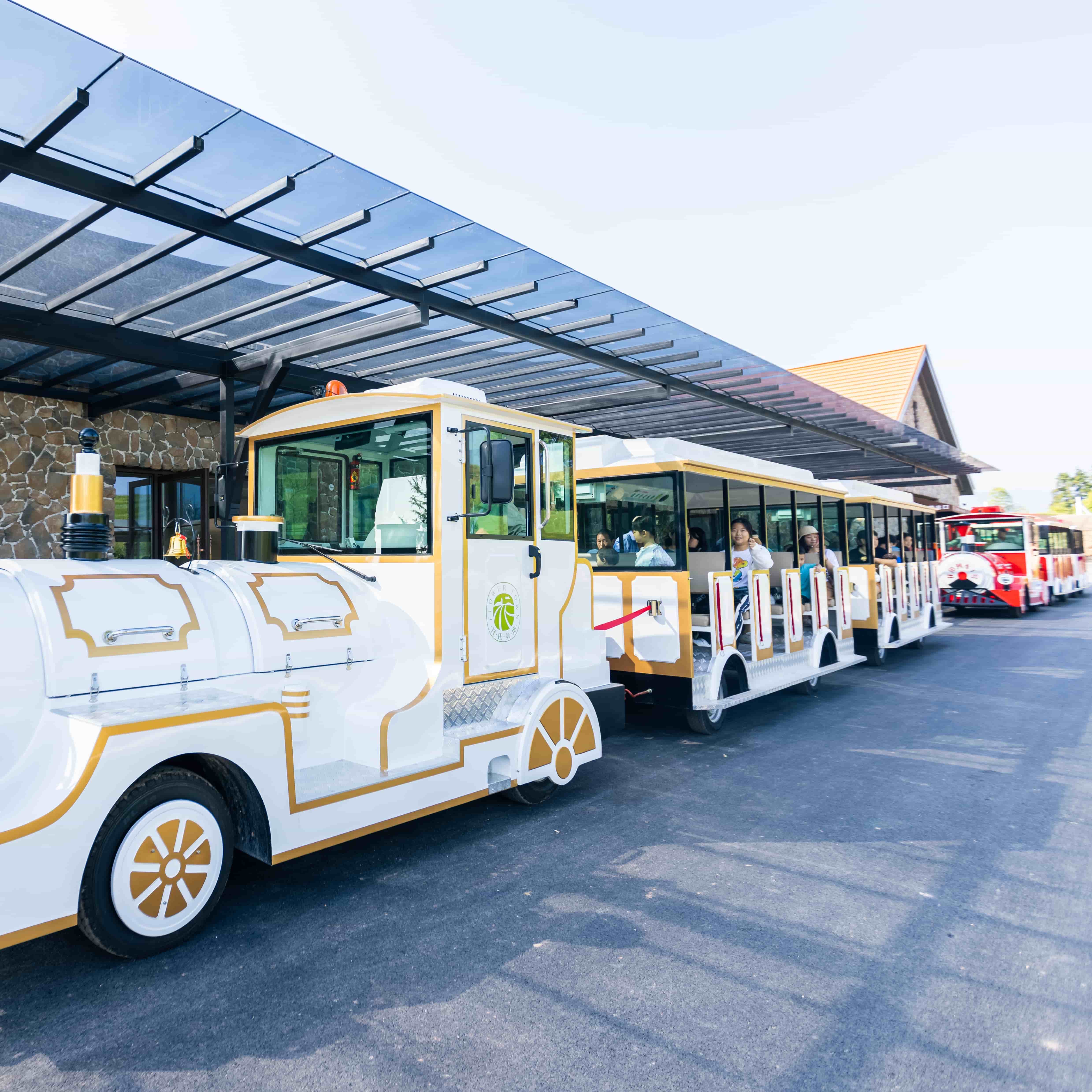 What to Consider When Buying Trackless Trains for Your Venue