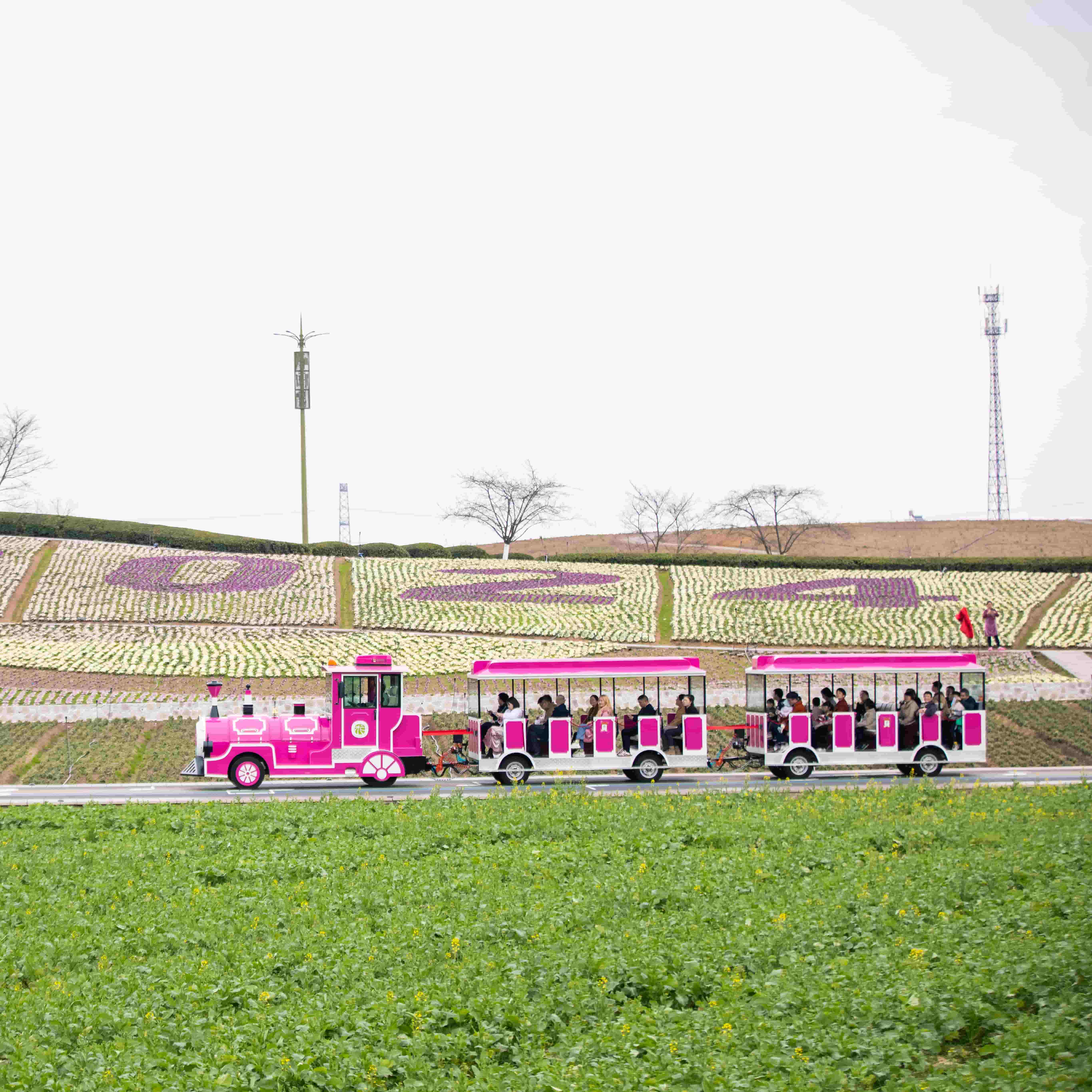 What Are the Key Features of a High-Quality Outdoor Christmas Train?