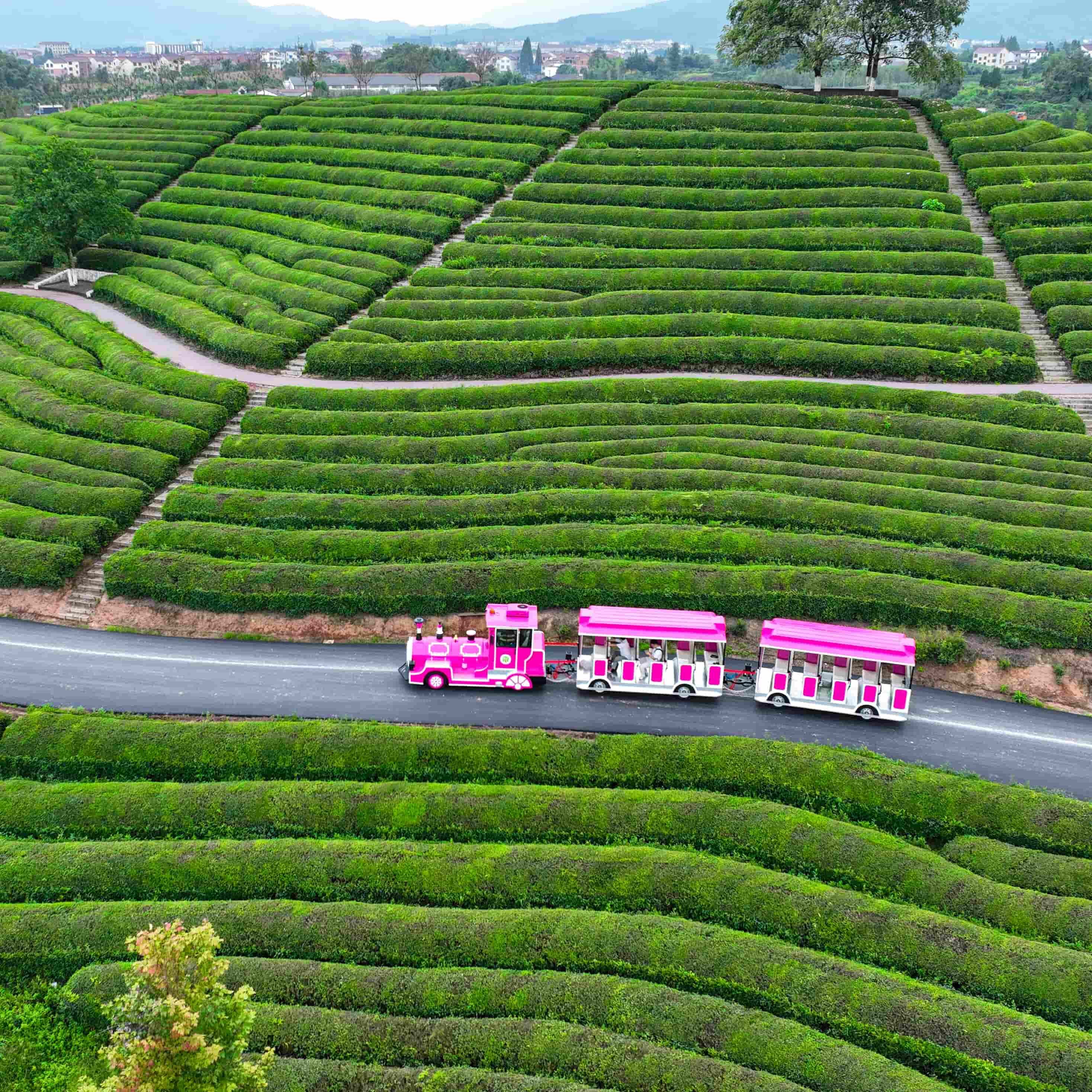 What Are Trending Designs in Outdoor Garden Trains for 2023?