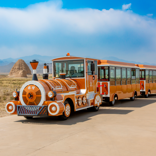 What Common Issues to Avoid When Purchasing Mini Express Trackless Trains?