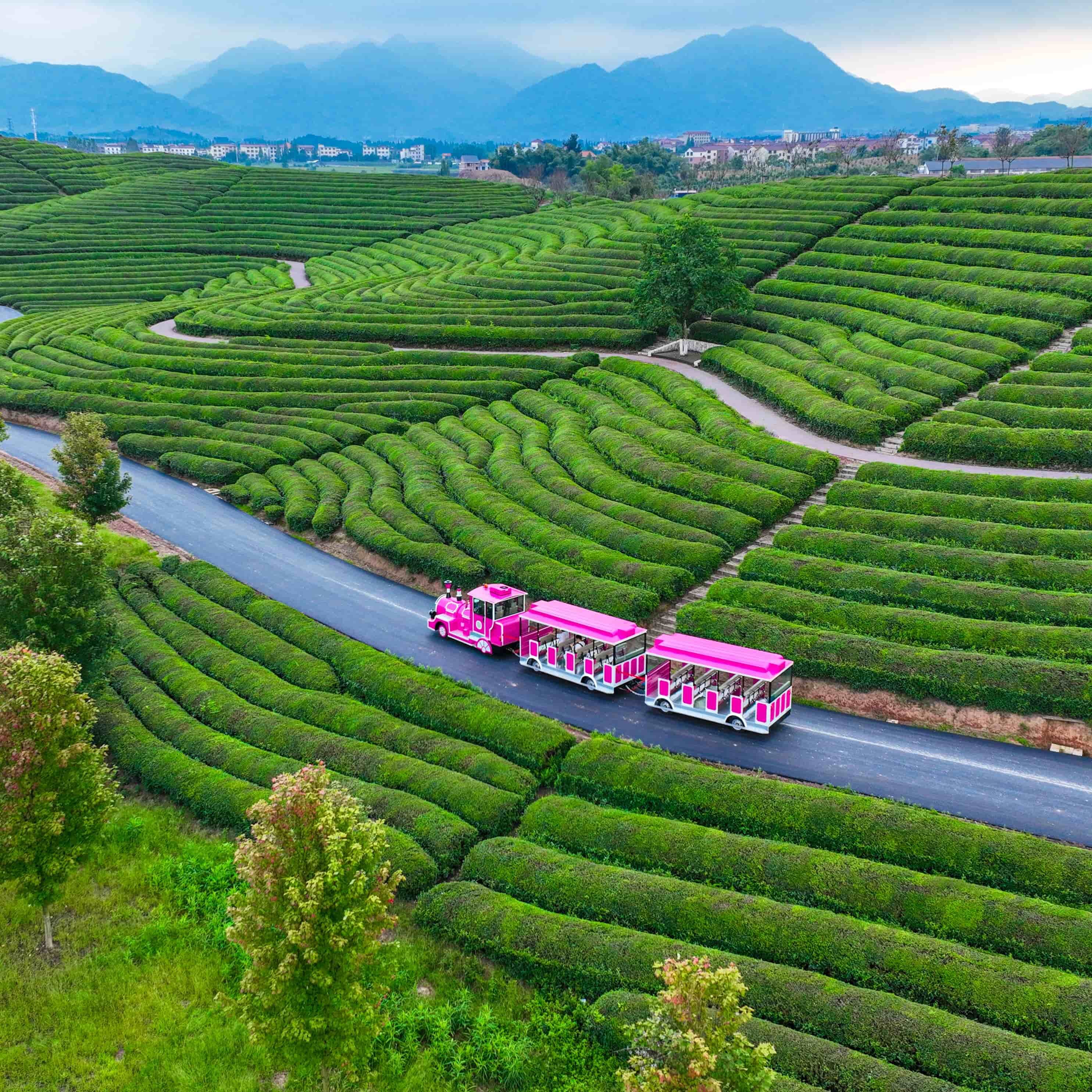 Where to Find Exclusive Deals on Weekend Train Trips