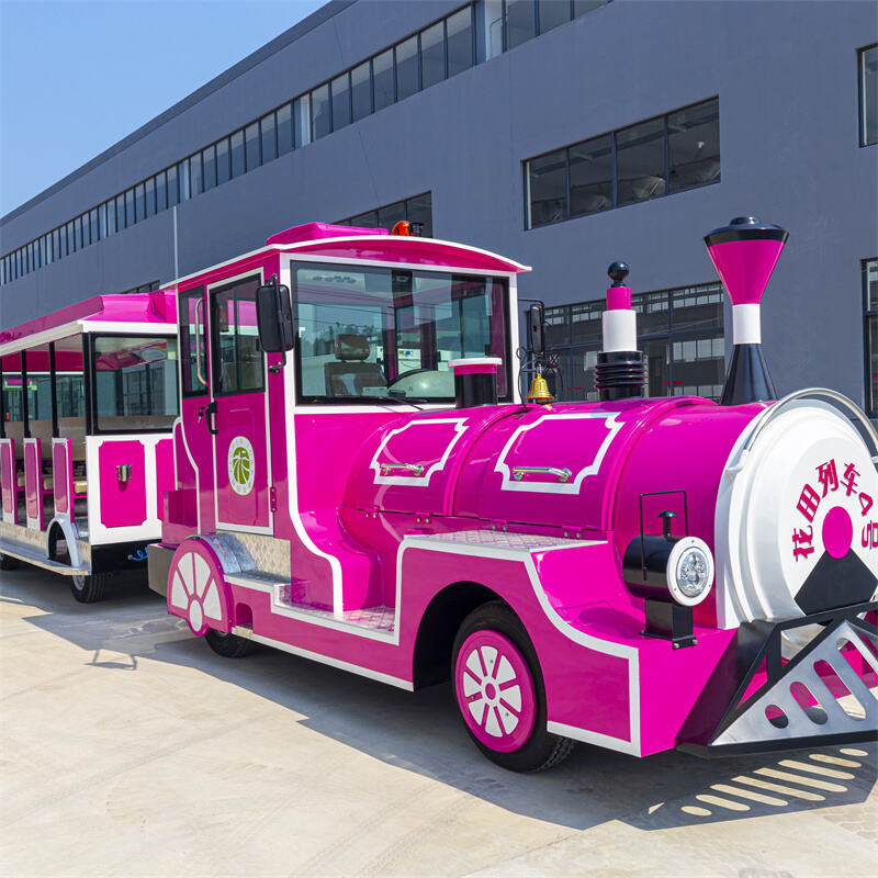 42座电动玫红火车-7.jpg