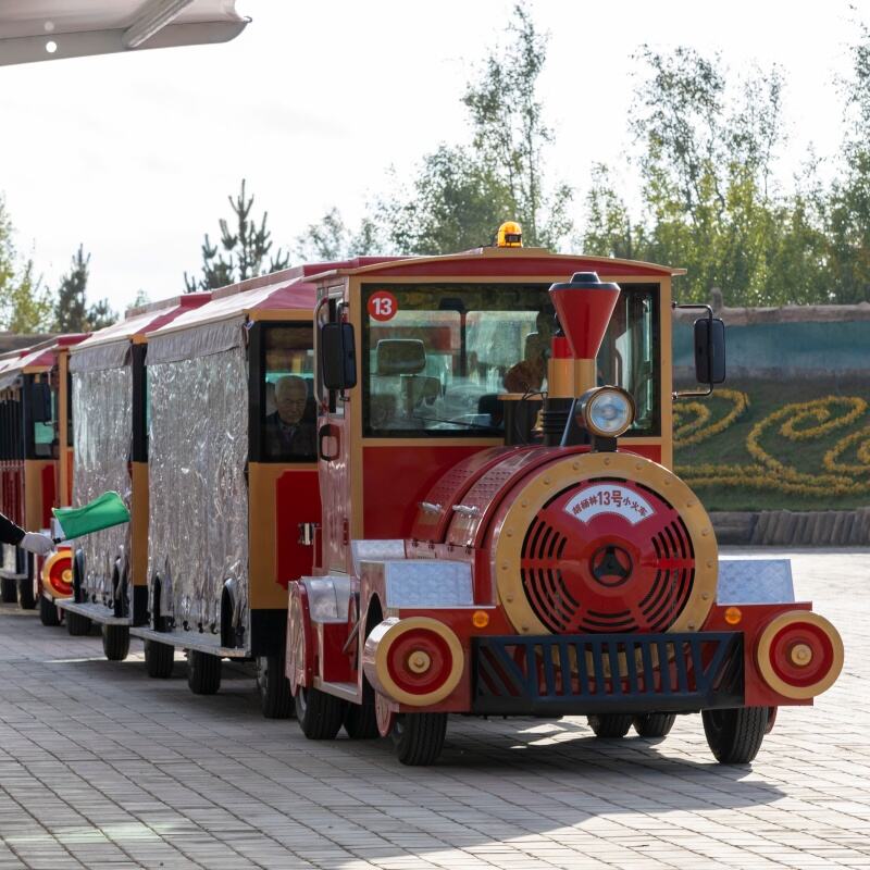What to Expect on a Magical Christmas Train Ride Experience