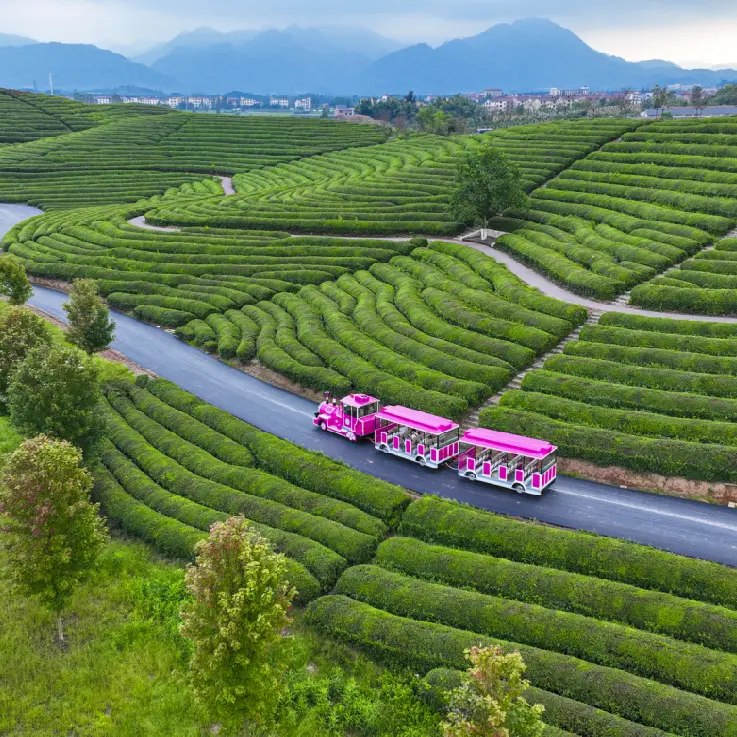 How to Market Outdoor Garden Trains to Attract More Customers