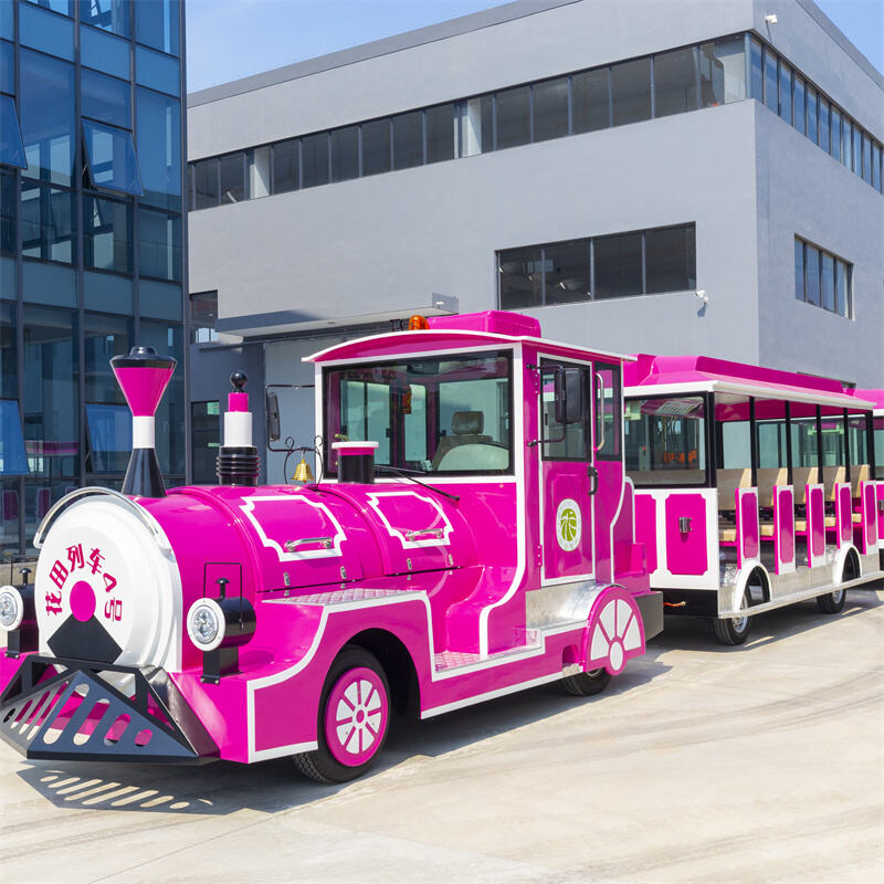 42座电动玫红火车-5.jpg