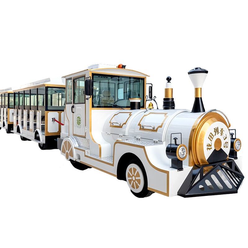 Where Can You Source Affordable Electric Trains for Bulk Orders?