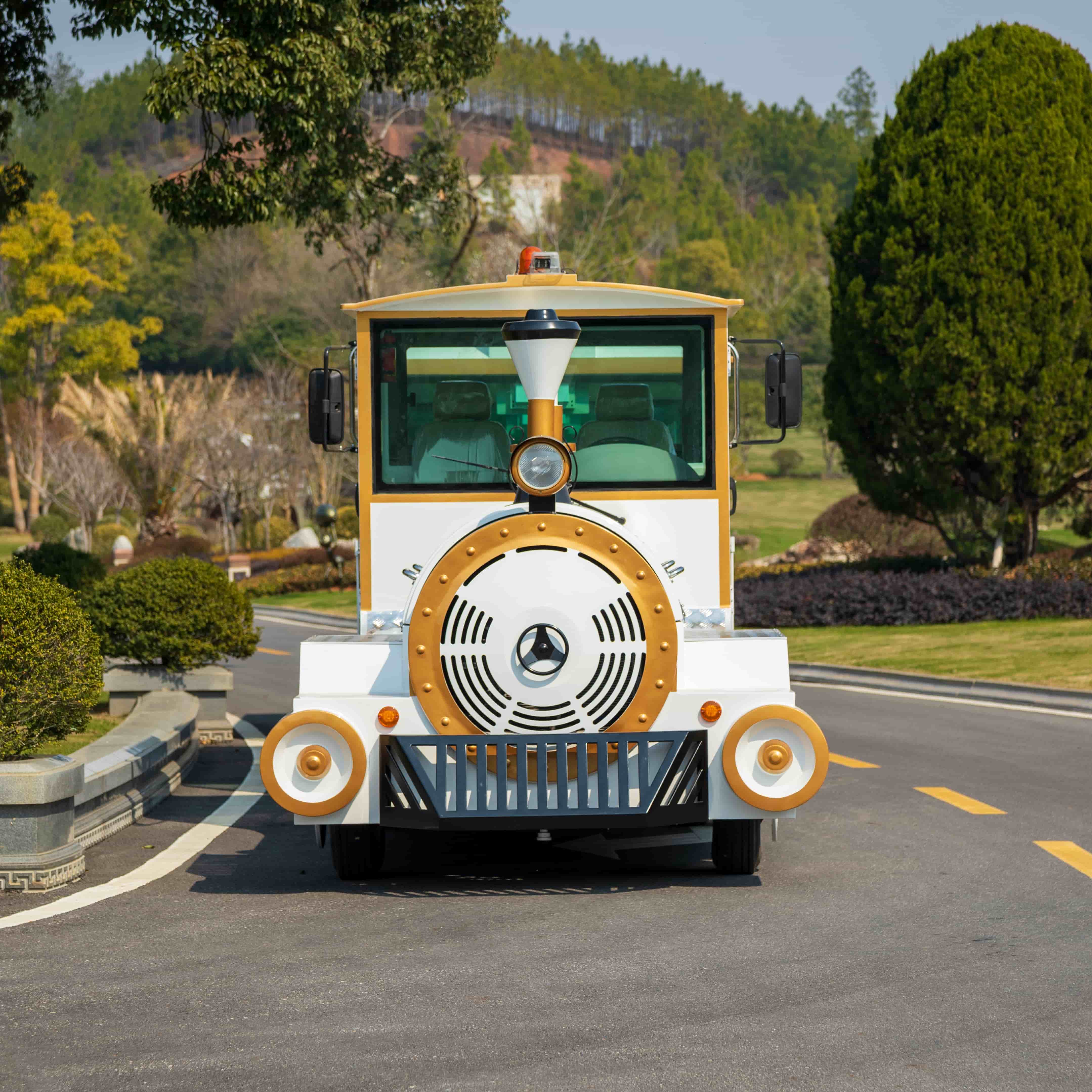 What Makes Outdoor Rideable Trains a Hot Trend in Family Entertainment?