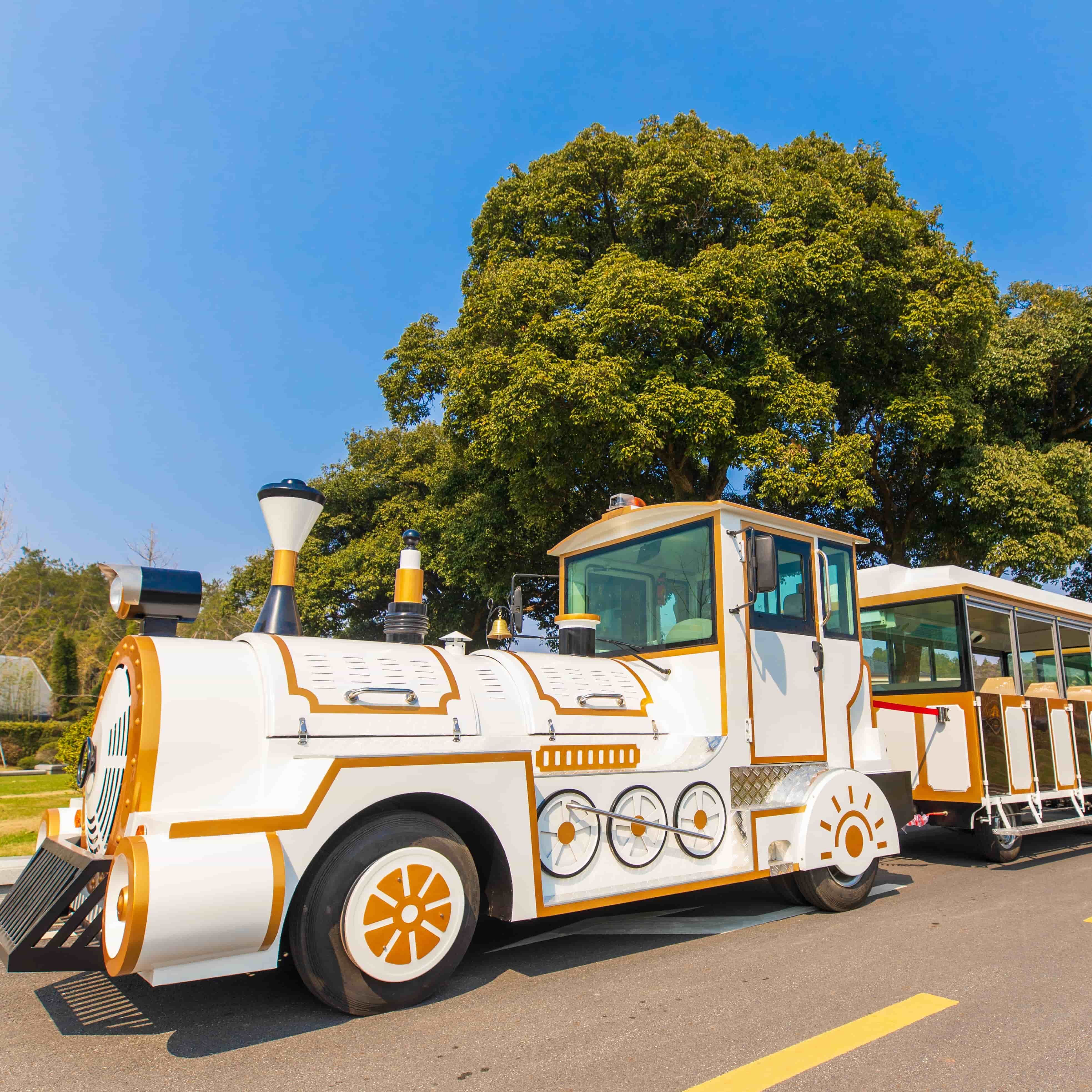 What Common Issues Do Buyers Face with Outdoor Model Trains?