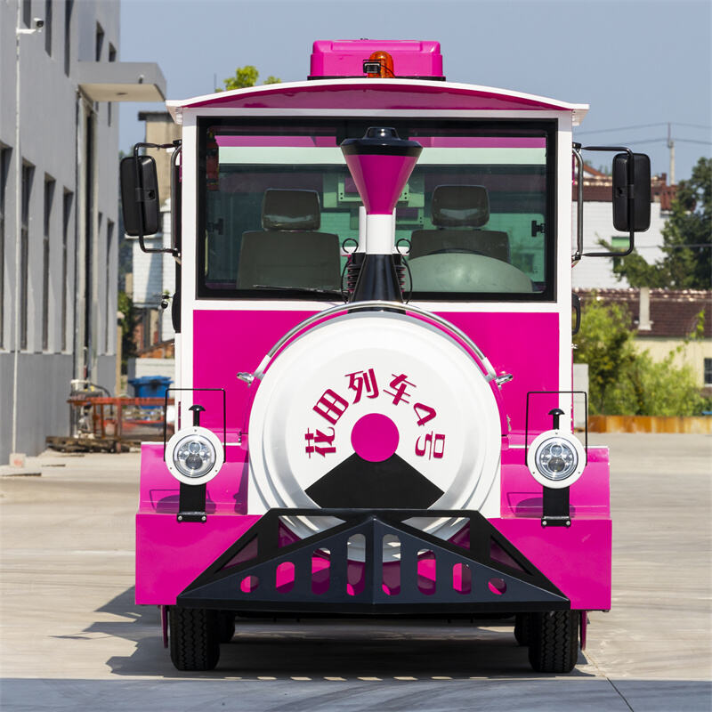 42座电动玫红火车-25.jpg