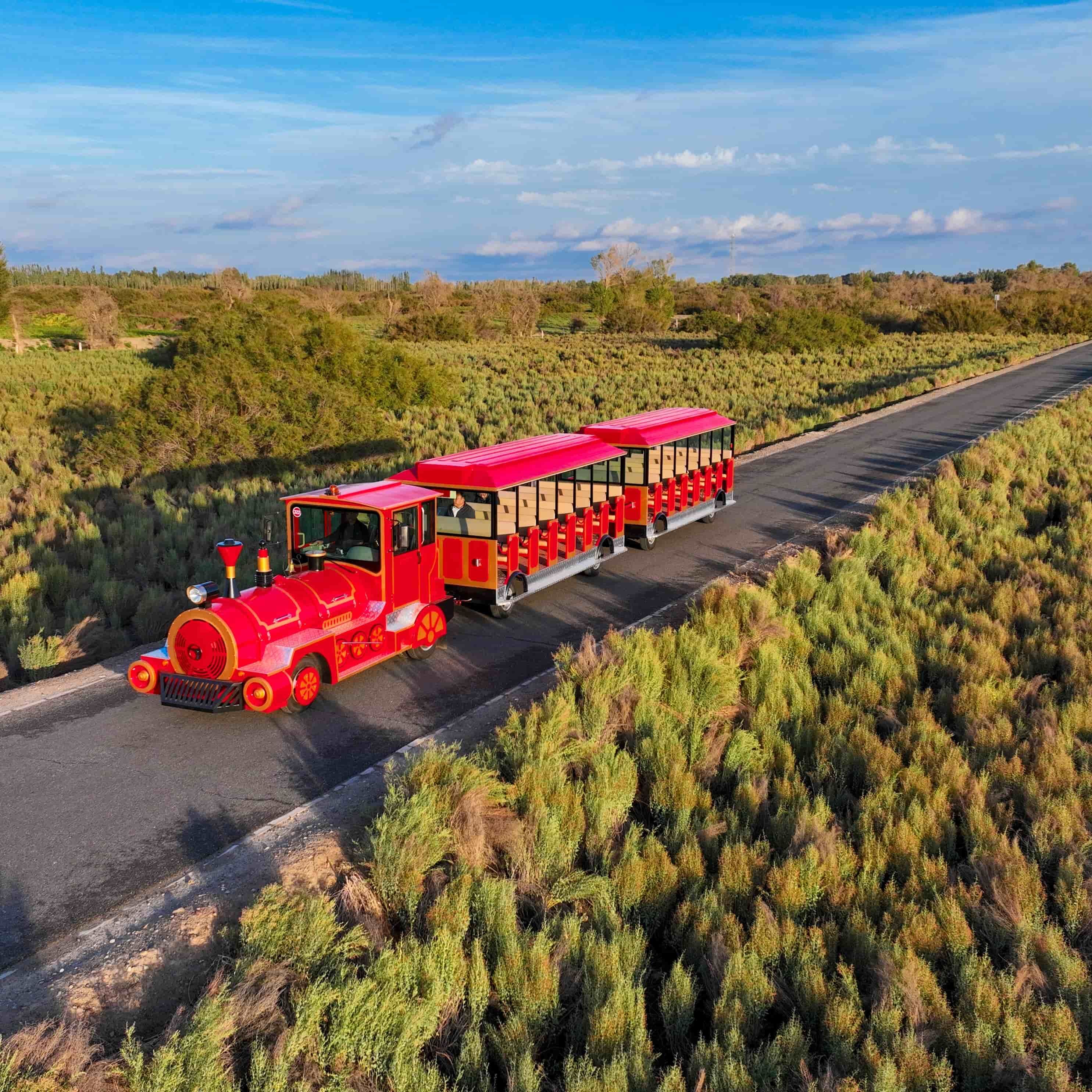 Where Are the Top Locations for Sightseeing Train Tours?