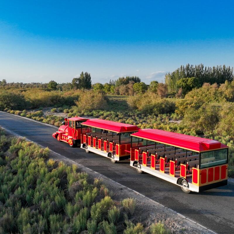 How to Set Up an Outdoor Christmas Train Display for Maximum Impac
