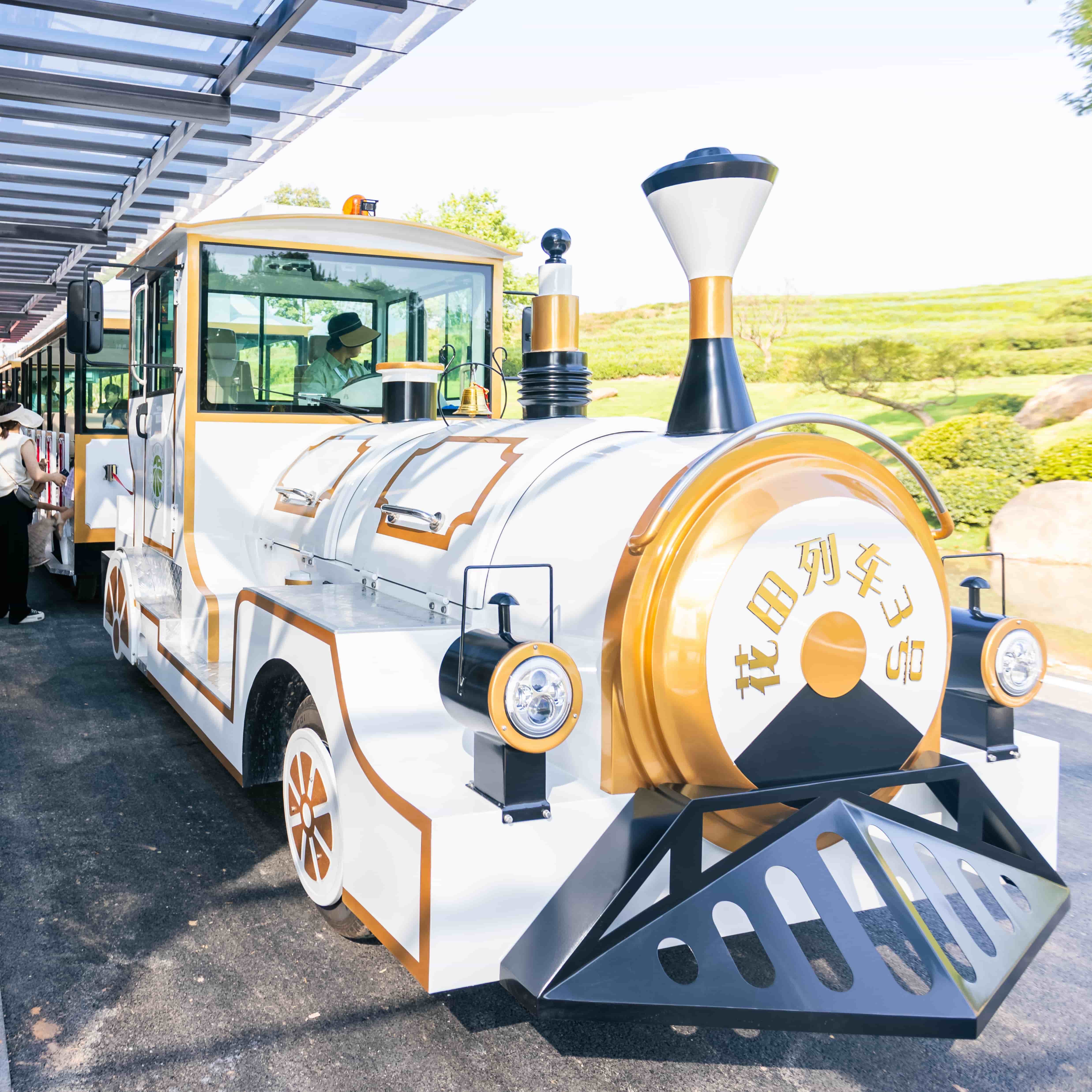 Where to Buy Affordable Trackless Trains for Your Park or Even