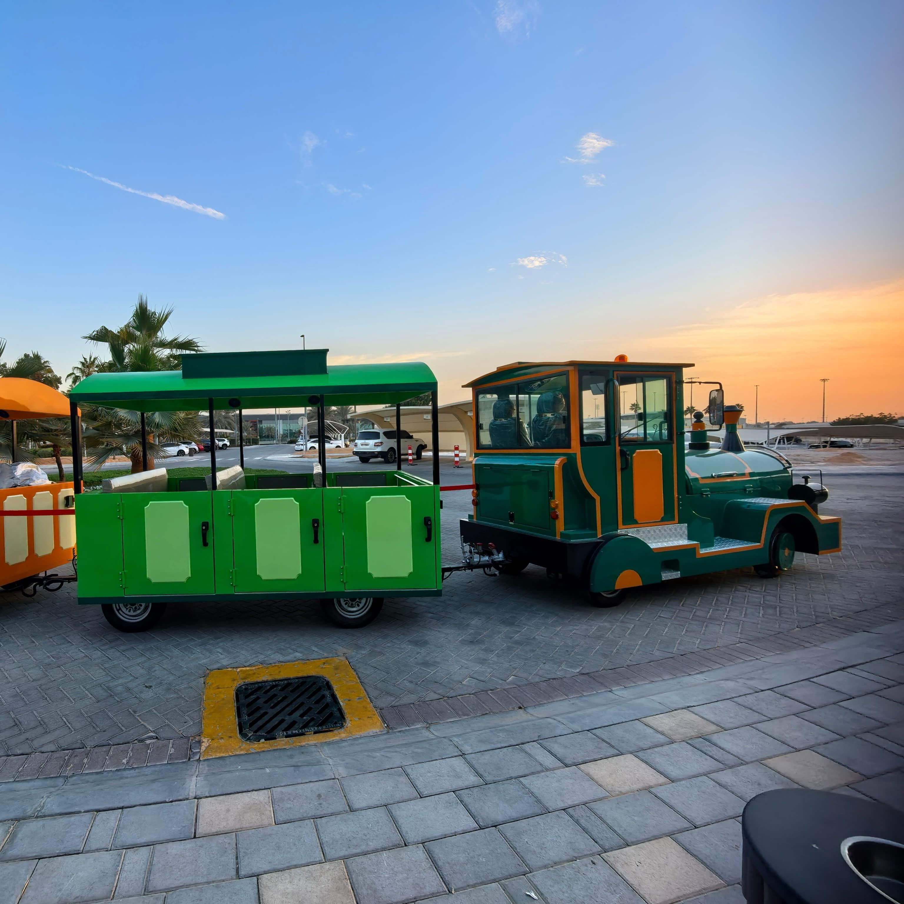 What Are the Common Issues When Purchasing Small Trains?