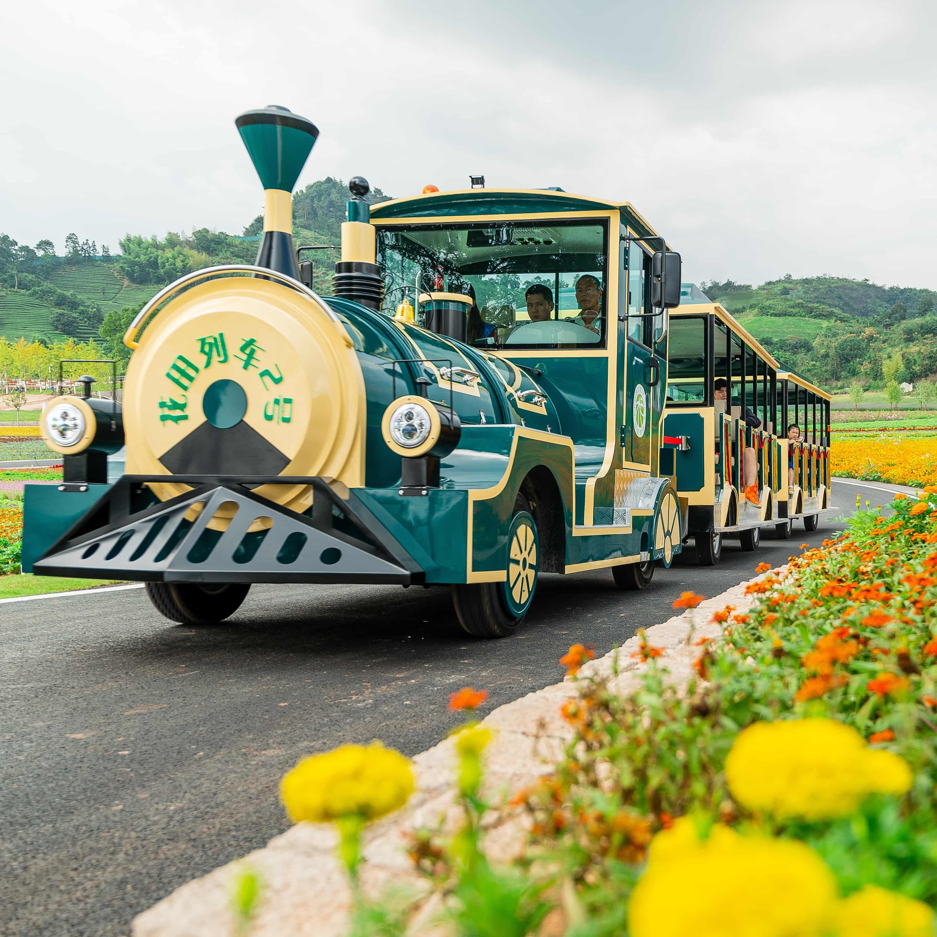 What Features Make Outdoor Model Trains Stand Out in the Market?
